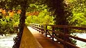 Video: Investments in Nature in Croatia